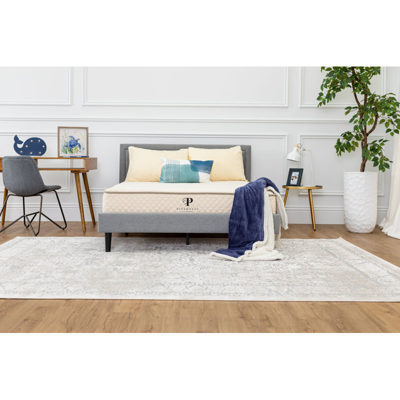 PlushBeds Healthy Child Organic Latex Mattress Wayfair